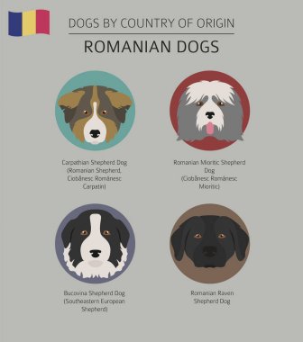 Dogs by country of origin. Romanian dog breeds. Infographic temp clipart