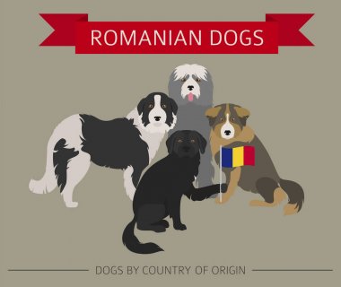 Ülke-in başlangıç köpekler. Romen köpek ırkları. Infographic temp