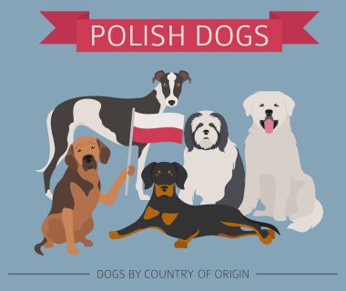 Ülke-in başlangıç köpekler. Köpek doğurmak Lehçe. Infographic templa