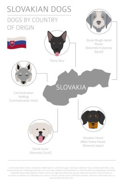 Country_Irish_3 köpekler