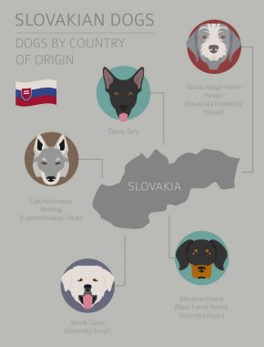 Country_Irish_3 köpekler