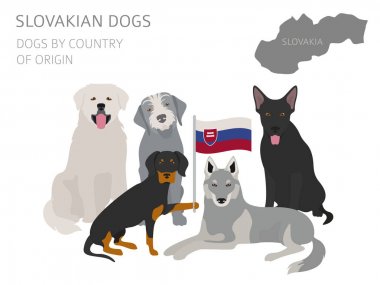 Country_Irish_3 köpekler