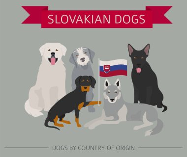 Country_Irish_3 köpekler