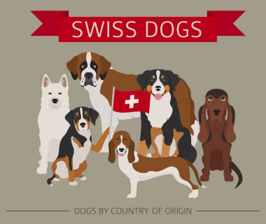 Dogs by country of origin. Swiss dog breeds. Infographic templat clipart