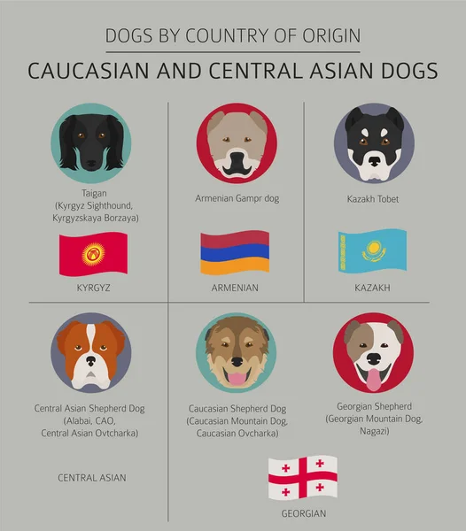 Perros por país de origen. raza de perro caucásico y de Asia Central — Vector de stock