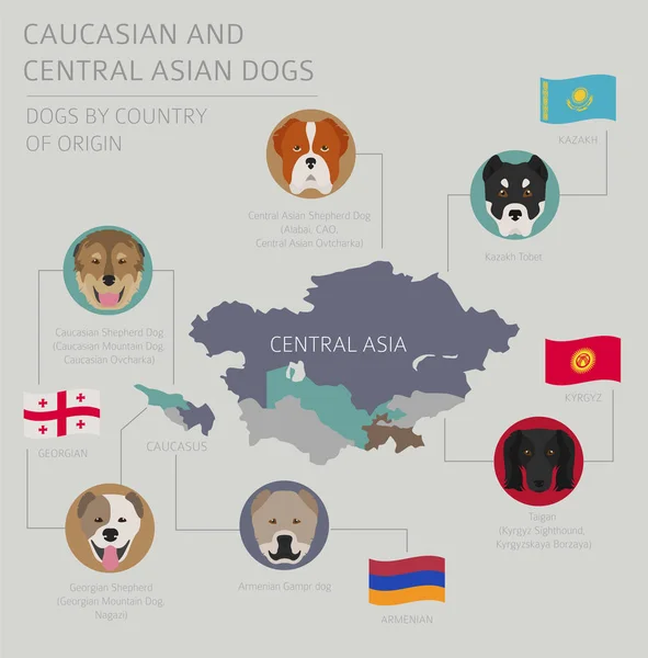 Psi podle země původu. Psí plemeno kavkazských a středoasijských — Stockový vektor