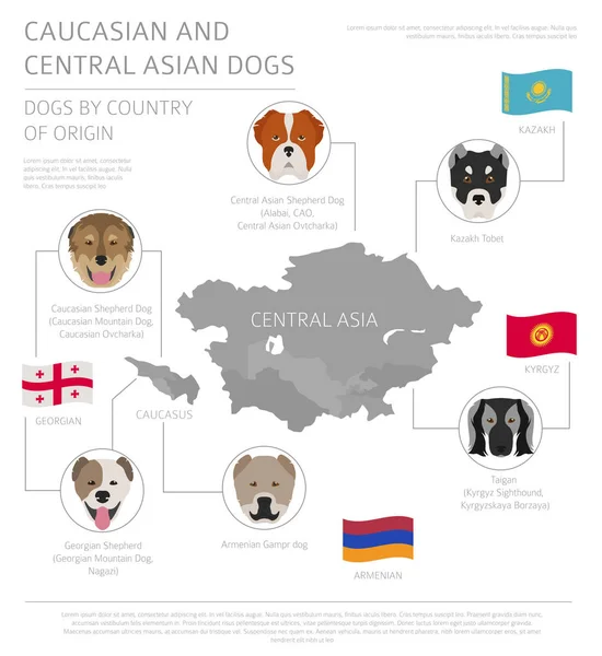 Psi podle země původu. Psí plemeno kavkazských a středoasijských — Stockový vektor