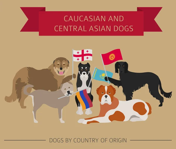 Honden per land van herkomst. Kaukasische en Centraal-Aziatische hondenras — Stockvector