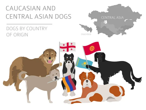 Honden per land van herkomst. Kaukasische en Centraal-Aziatische hondenras — Stockvector