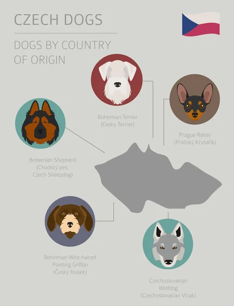 Cães por país de origem. Raças de cães checos. Modelo infográfico — Vetor de Stock