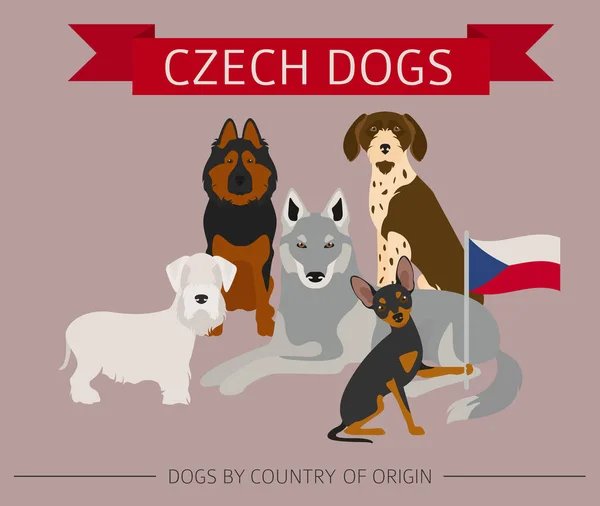 Perros por país de origen. Razas de perros checos. Plantilla infográfica — Vector de stock