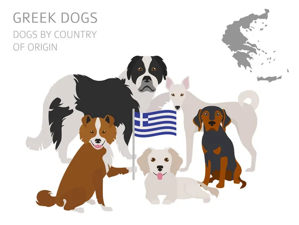 Cães por país de origem. Raças de cães gregos. Modelo infográfico — Vetor de Stock