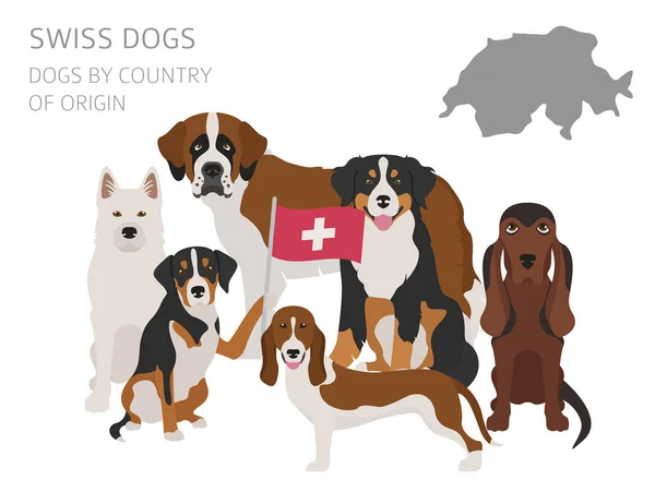 Psi podle země původu. Švýcarská psí plemena. Infografika templat — Stockový vektor
