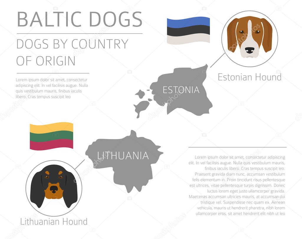 Dogs by country of origin. Baltic dog breeds. Infographic templa