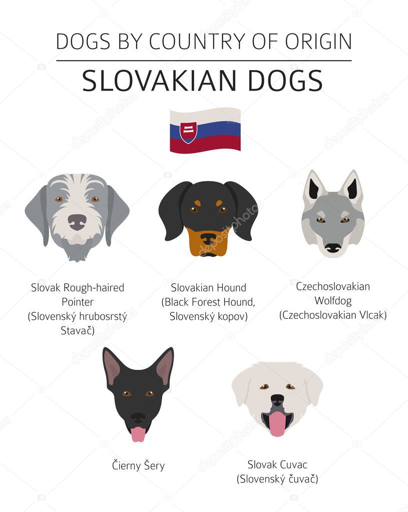 Dogs by country_Belgium_1