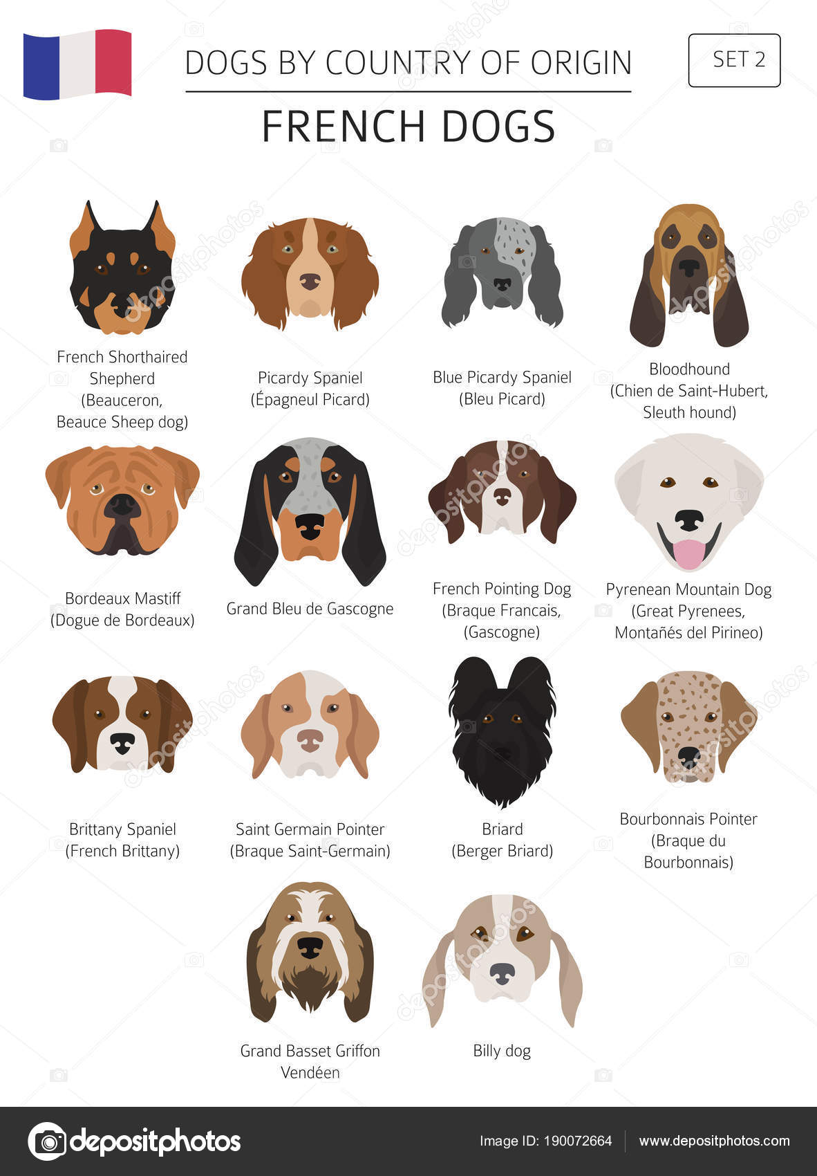 French shepherd dog best sale breeds