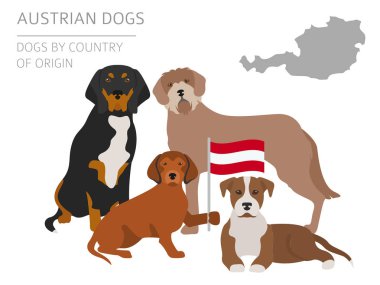 Ülke-in başlangıç köpekler. Avusturyalı köpek ırkları. Infographic temp