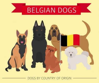 Ülke-in başlangıç köpekler. Belçika köpek ırkları. Infographic depo
