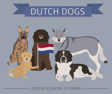 Ülke-in başlangıç köpekler. Hollandaca (Hollanda) doğurmak köpek. Infograph