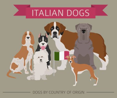 Ülke-in başlangıç köpekler. İtalyan köpek ırkları. Infographic depo