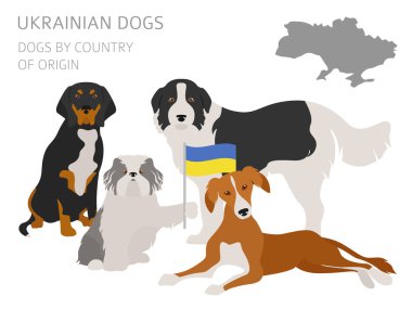 Ülke-in başlangıç köpekler. Ukraynalı köpek ırkları. Infographic tem