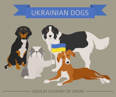 Ülke-in başlangıç köpekler. Ukraynalı köpek ırkları. Infographic tem