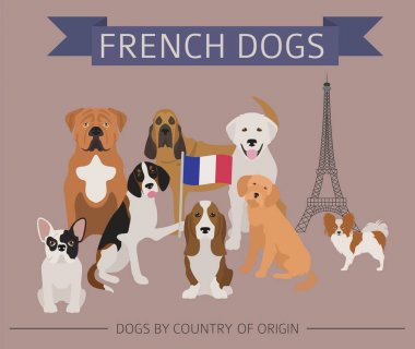 Ülke-in başlangıç köpekler. Fransızca doğurmak köpek. Infographic templa
