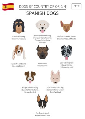 Ülke-in başlangıç köpekler. İspanyol doğurmak köpek. Infographic depo