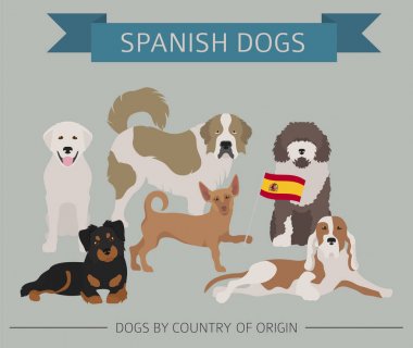 Ülke-in başlangıç köpekler. İspanyol doğurmak köpek. Infographic depo