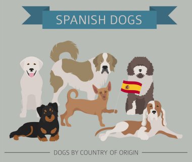 Dogs by country of origin. Spanish dog breeds. Infographic templ clipart