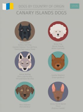Ülke-in başlangıç köpekler. İspanya. Kanarya Adaları doğurmak köpek. INF