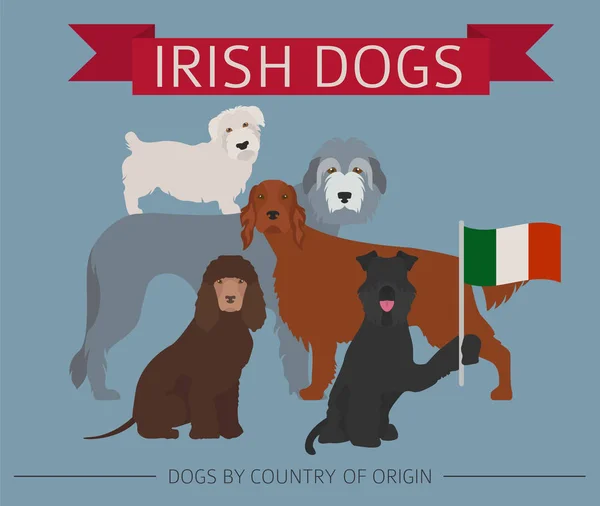 Dogs by country of origin. Irish dog breeds. Infographic templat — Stock Vector