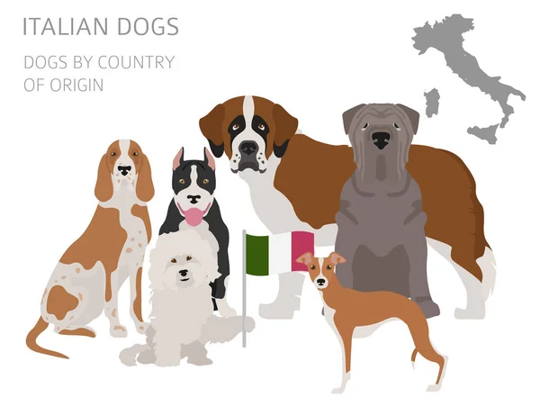 Hunde nach Herkunftsland. Italienische Hunderassen. Infografischer Tempel — Stockvektor