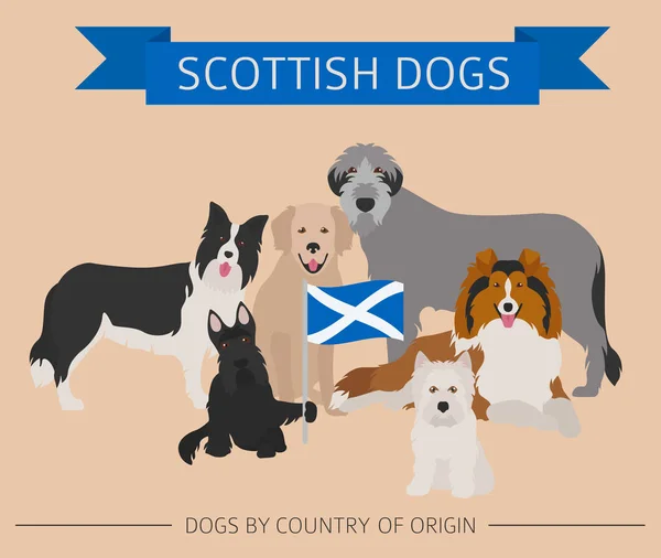Cães por país de origem. Raças de cães escoceses. Temperatura do infográfico — Vetor de Stock