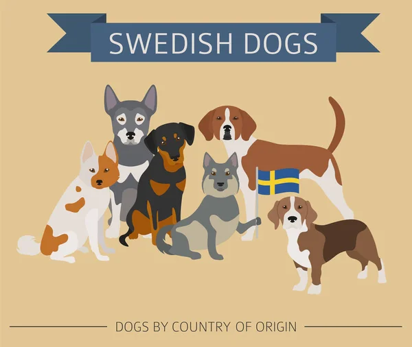 Hunde nach Herkunftsland. Schwedische Hunderassen. Infografischer Tempel — Stockvektor