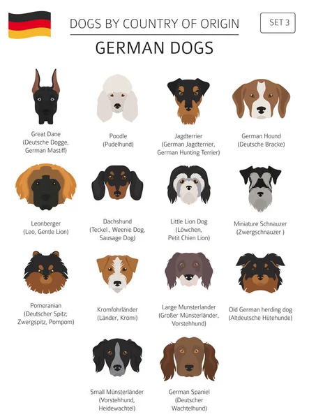 Kutyák származási ország szerint. Német kutya tenyészt. Infographic templa — Stock Vector
