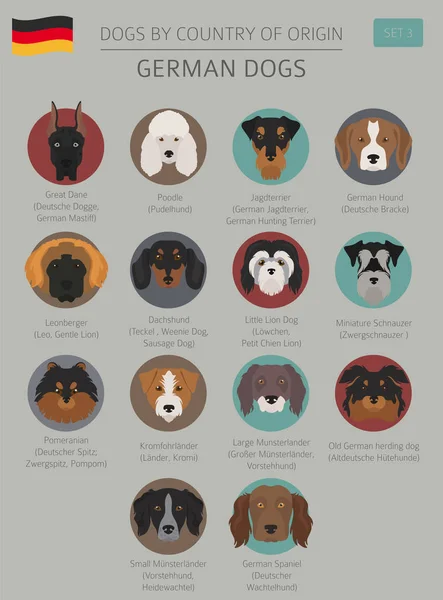 Psi podle země původu. Německá plemena psů. Infografika šablona — Stockový vektor