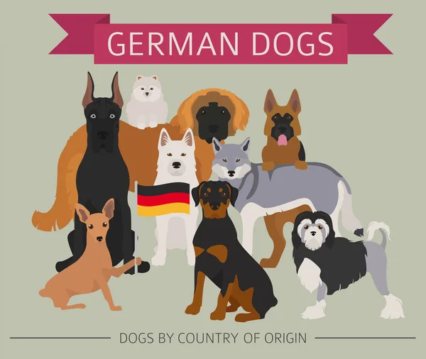 Chiens par pays d'origine. races de chiens allemands. Templa infographique — Image vectorielle