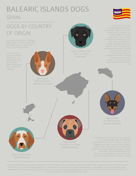 Собаки по странам происхождения. В Испании. Балеарские острова породы собак. I — стоковый вектор