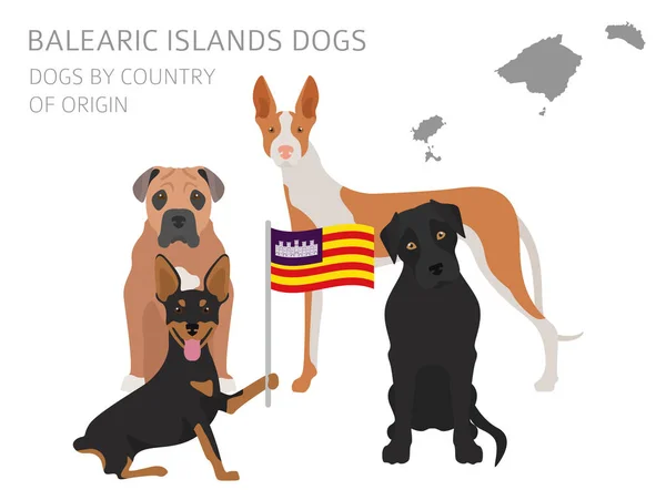 Perros por país de origen. España. Islas Baleares razas de perros. Yo... — Vector de stock