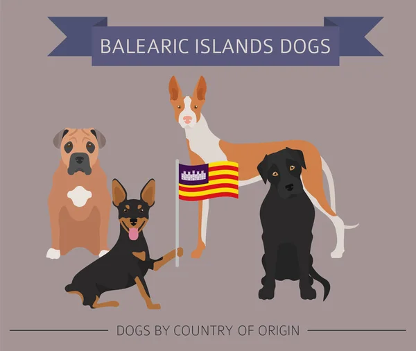 Perros por país de origen. España. Islas Baleares razas de perros. Yo... — Vector de stock