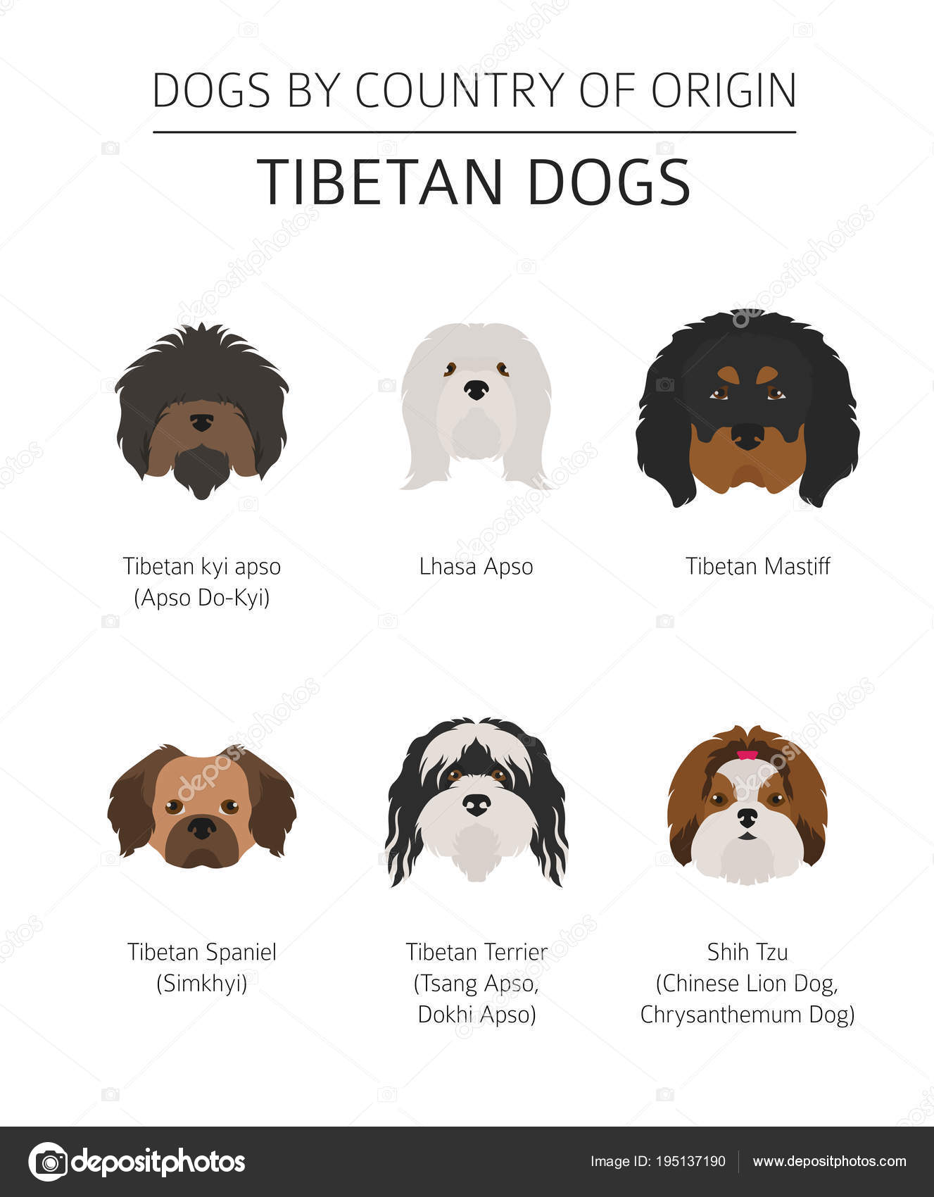 Dogs by country of Tibetan dog breeds, chinese mountain
