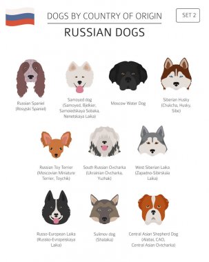 Ülke-in başlangıç köpekler. Rus köpek ırkları. Infographic depo