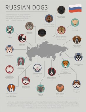 Ülke-in başlangıç köpekler. Rus köpek ırkları. Infographic depo
