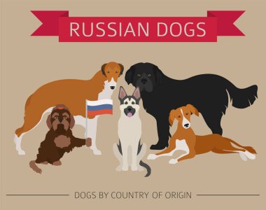 Ülke-in başlangıç köpekler. Rus köpek ırkları. Infographic depo