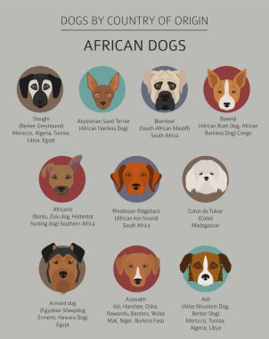 Ülke-in başlangıç köpekler. Afrika köpek ırkları. Infographic depo