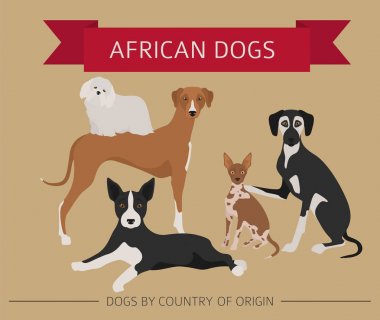Dogs by country of origin. African dog breeds. Infographic templ clipart