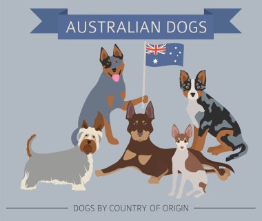 Dogs by country of origin. Australian dog breeds, New Zealand do clipart