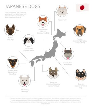 Ülke-in başlangıç köpekler. Japonca doğurmak köpek. Infographic temp