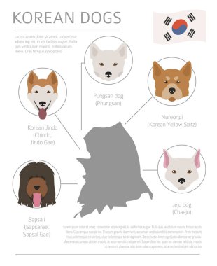 Ülke-in başlangıç köpekler. Kore köpek ırkları. Infographic templa
